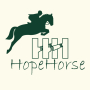 QINGDAO HOPE HORSE TRADE CO., LTD.