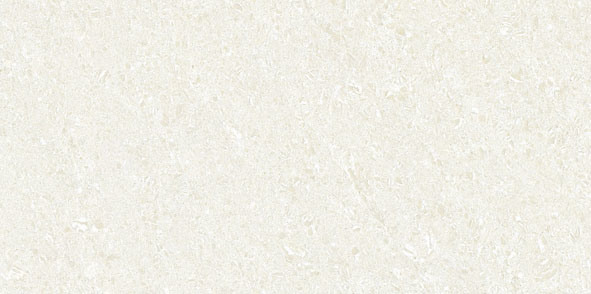 Polished Porcelain Floor Tiles (VPP126001 600X1200mm)