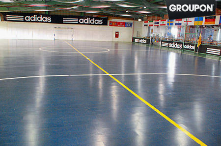 Indoor/Outdoor Professional PVC Futsal/Football Flooring