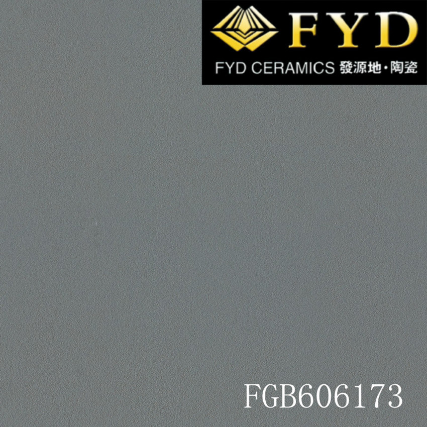 Rustic Floor Tile (FGB606173) 600X600mm