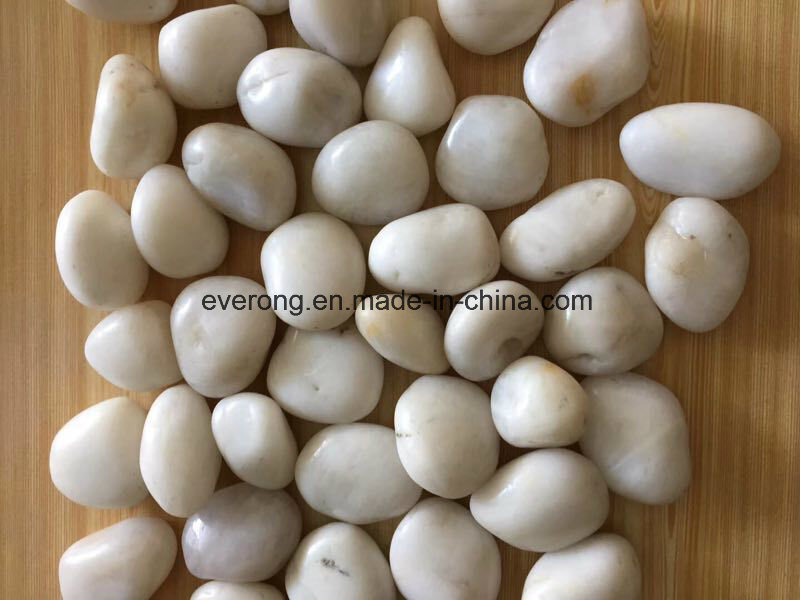 Natural Highly Polished White River Pebble Size 2-3cm /3-5cm /5-8cm for Landscaping