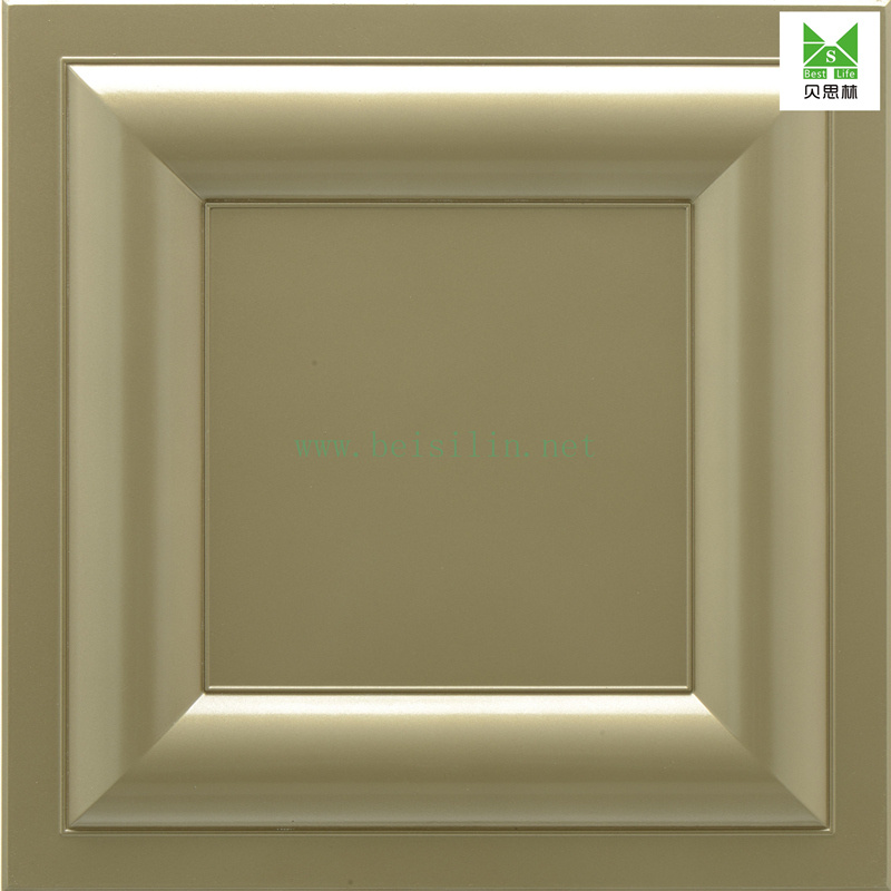 Decorative 3D ABS Plastic Wall Panel & Ceiling Tile