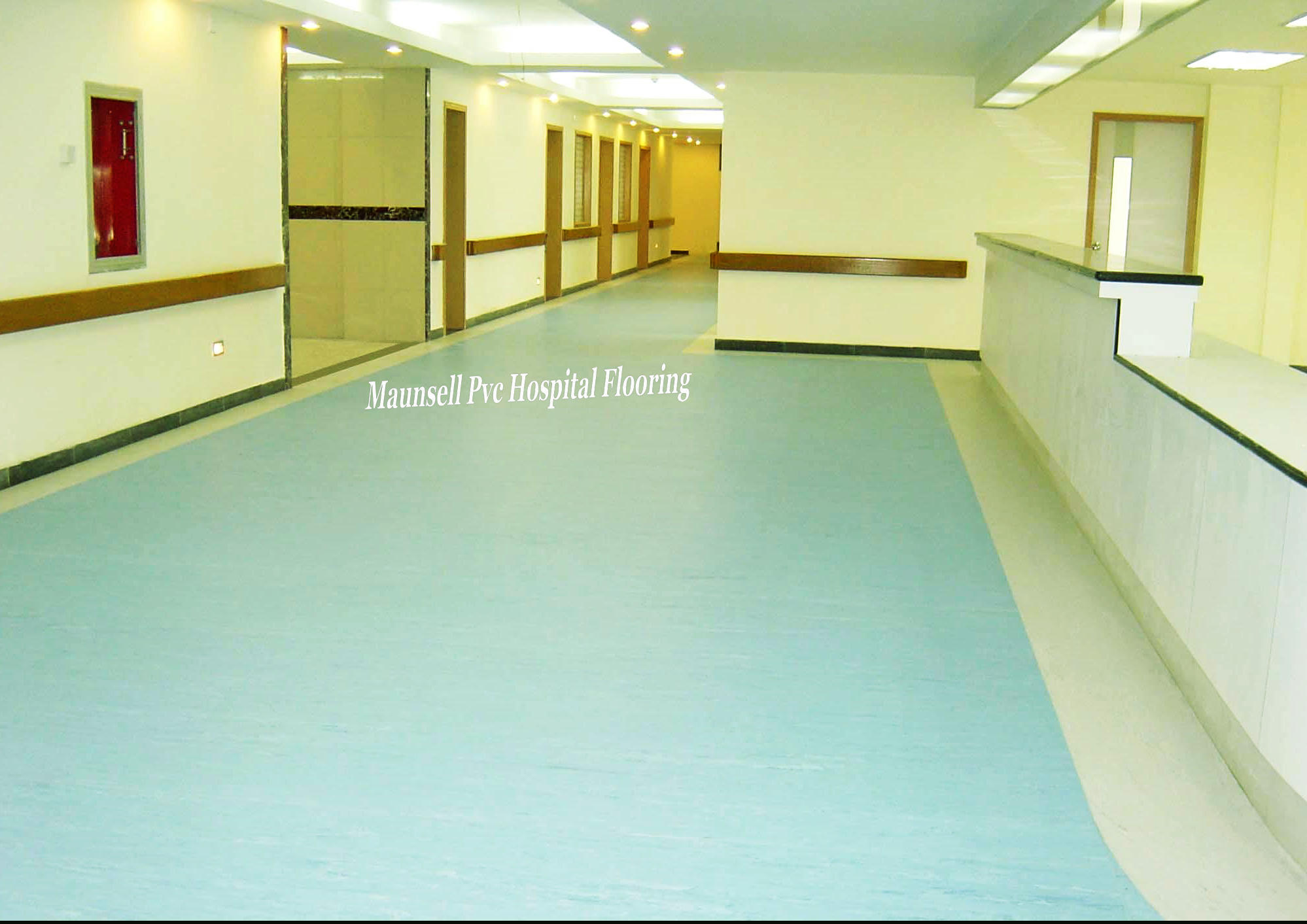 Professional Indoor Hospital Vinyl/PVC Flooring (3.0mm)