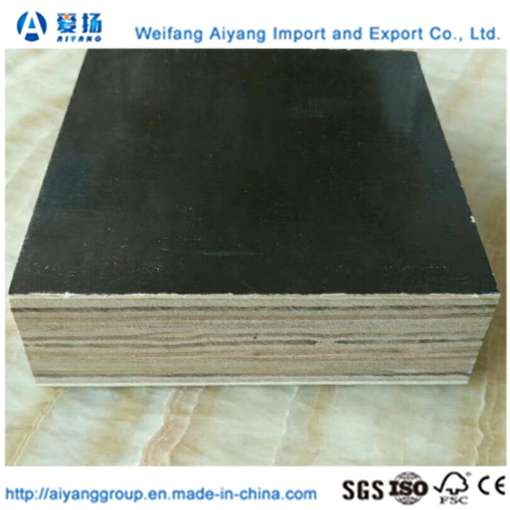 High Quality 28mm Truck and Container Flooring Plywood