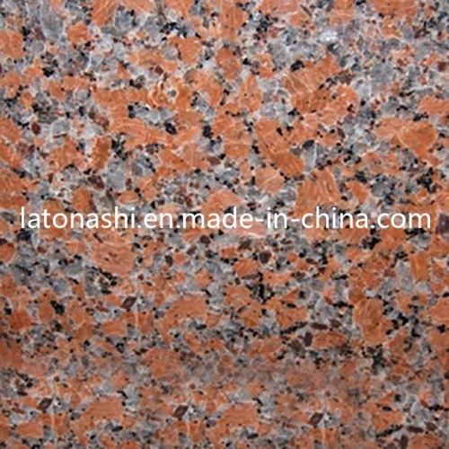China Granite Color, Polished Natural Granite Tile for Island, Countertop