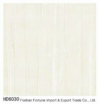 Ceramic Building Material Soluble Salts Porcelain Floor Tile 600X600mm