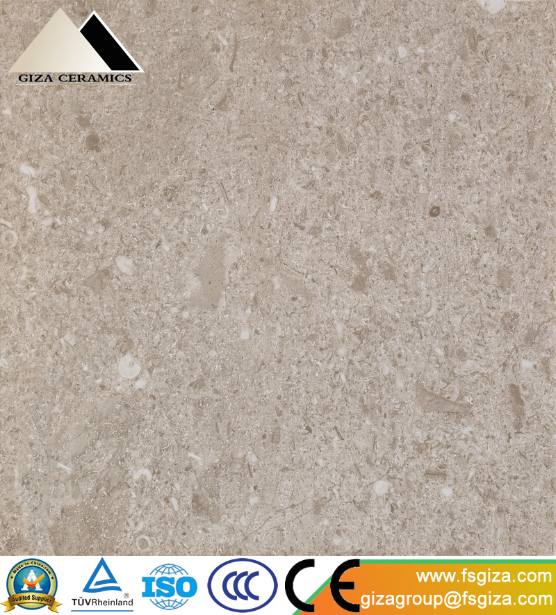 600*600 Full Polished Glazed Marble Floor Tile (JBQ6322D)