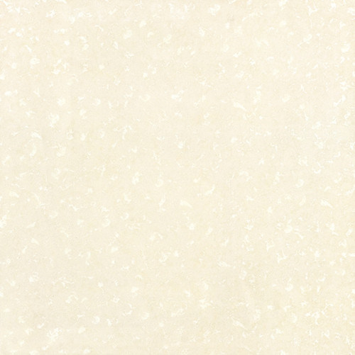 600X600 Soluble Salt Stone Porcelain Polished Tile (6S039)