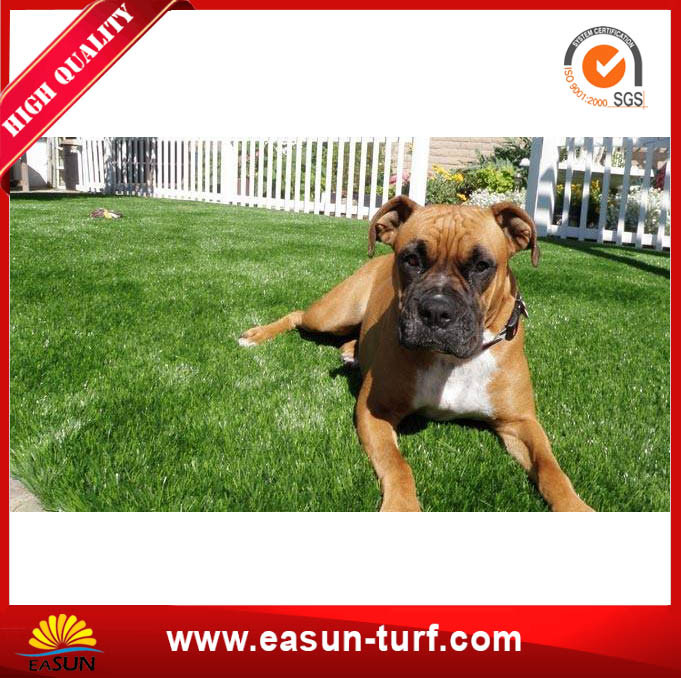 Popular Plastic Grass Artificial Turf Tiles From Chinese