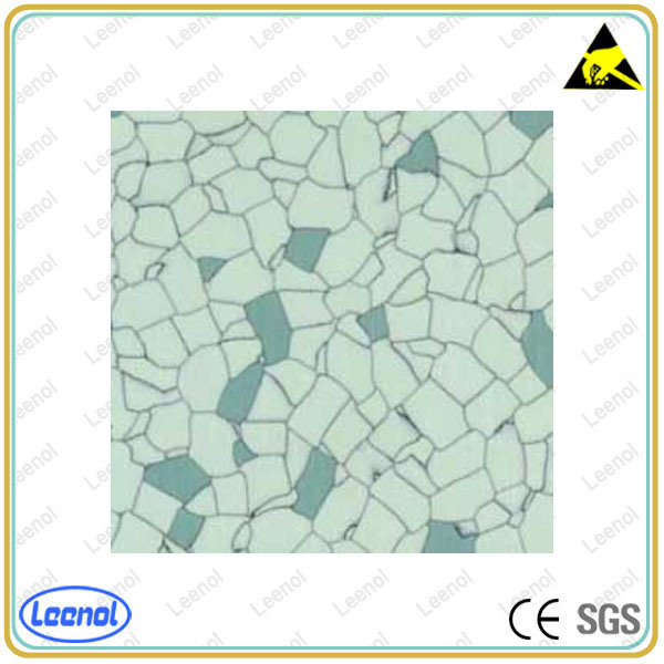 Ln-02 Antistatic Floor Use for Cleanroom
