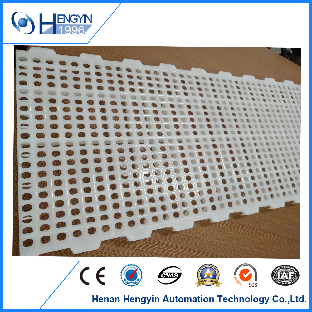 ABS Material Factory Chicken Plastic Floor with Best Quality Price