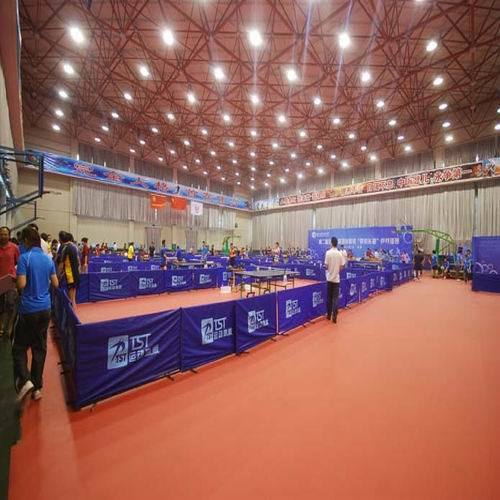 High Quality Cheap Indoor PVC Sports Roll Flooring for Table Tennis Made in China