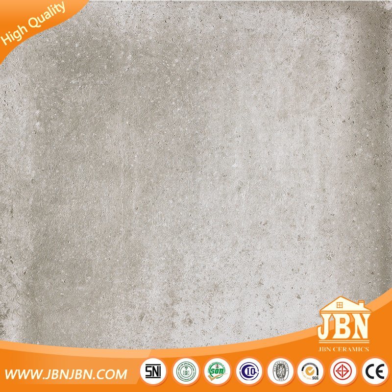 AAA Grade Cement Design Rustic Porcelain Matt Flooring Tile (JX6601T)