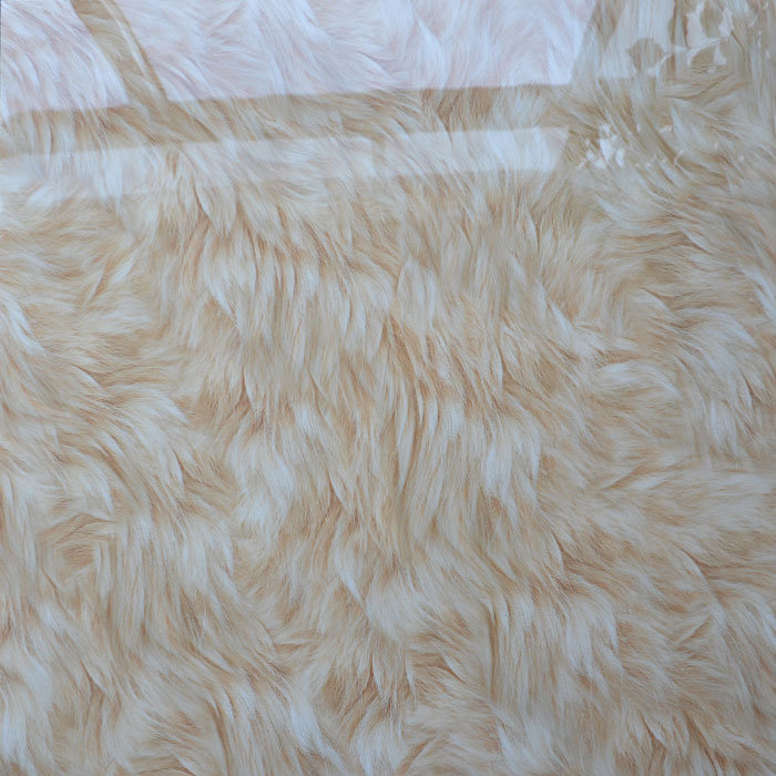 Foshan Supplier Polished Glazed Ceramic Floor and Wall Tiles 600X600