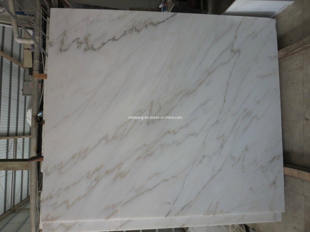 Bianco Carrara White Marble Tile for Floor and Wall
