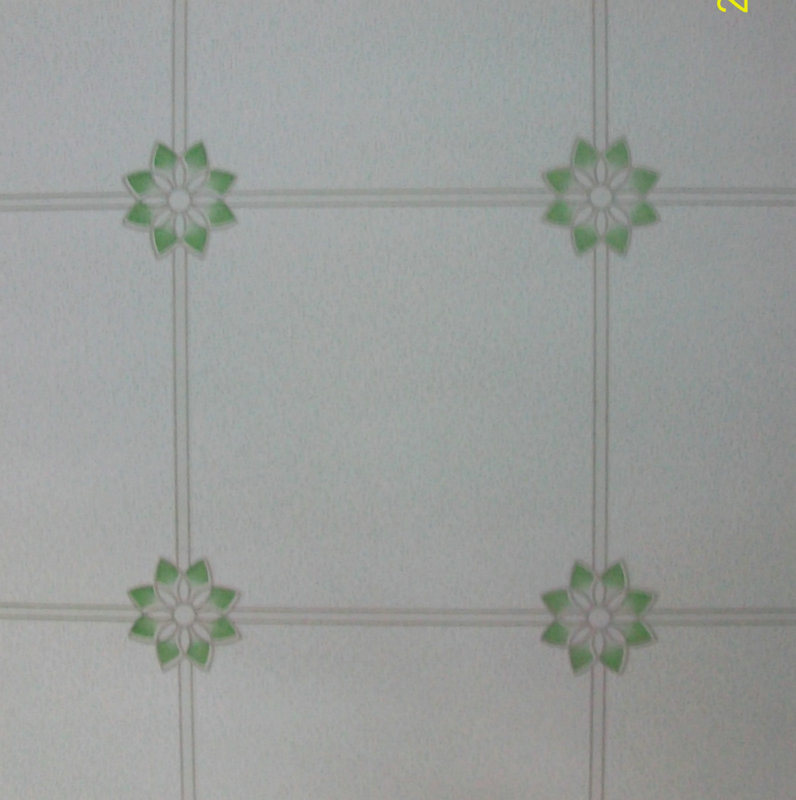 Ceramic Rustic Floor Tiles (518)