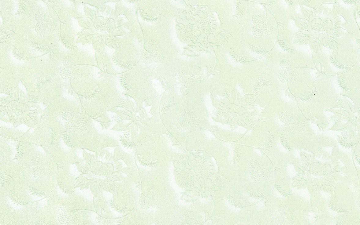 Building Material Washroom Decoration Ceramic Wall Tile (250*400)