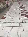 Popular Grey Marble Slab for Tile/Floor/Flooring/Paving/Wall/Bathroom Project