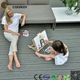 Factory Price WPC Outdoor Flooring/Composite Decking/WPC Decking