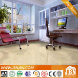 Rainbow Stone Foshan Ceramics Polished Floor Tile (J6C02)