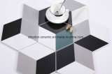 Hexagon Porcelain Wall and Floor Tile Decoration Wall Tile 115X200X230mm St23027