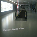Professional PVC/Homogeneous Floor for Airport/Subway/Office