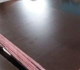 Brown Poplar Core Film Faced Shuttering Plywood Lumber (18X1220X2440mm)