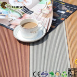 Eco-Friendly Outdoor Wood Plastic Composite Decking/Floor (TS-01)