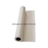 Fsc 70-150g White Kraft Paper Price Per Ton for Plotter Printer