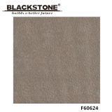 Good Quality 600X600mm Glazed Porcelain Tile with Rustic Surface (F60624)