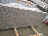 G664 Granite Slab Polished with Promotion Price, G664 Granite Slabs & Tiles