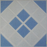 Ceramic Glzaed Rustic Floor Tiles (224)