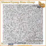 Pearl White Granite Floor Tile for Floor/Wall