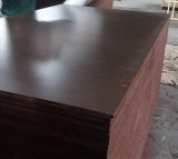 Poplar Phenolic Brown Film Faced Shuttering Plywood for Construction (6X1250X2500mm)