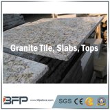 Granite Stairs, Step, Tiles, Tops Polished Stone Floor Marble Manufacture