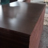 Poplar Core Veneer Brown Film Faced Manufactory Plywood (15X1250X2500mm)