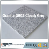 G602 Chinese Natural Stone Granite Tile for Middle East Market