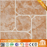 300X300mm Indoor Flooring Rustic Ceramic Tile (3A209)
