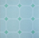 Glazed Rustic Floor Tiles (256)