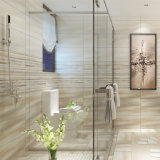 300*600mm Matt Glazed Interior Ceramic Wall Tile for Indoor