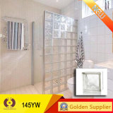 Wall Tile Glass Block Building Material Glass Brick (145YW)