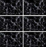 200X300mm Building Material Glossy Glazed Interior Ceramic Wall Tile (3013B)