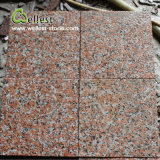 G562 Maple Red Flamed Non-Slip Granite Floor Wall Tile