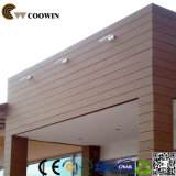 Water Resistance WPC Exterior Wall Panels