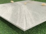 Building Material Home Decoration Porcelain Floor Wall Tile (SHA603)