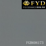 Rustic Floor Tile (FGB606173) 600X600mm