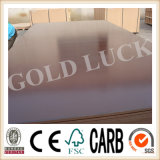 Qingdao Gold Luck Car Flooring Film Faced Plywood Panels (QDGL150115)