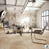 Rustic Tile of Modern Art for Interior and Exterior