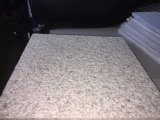 China New Product White Granite Stone Floor/Flooring Tile/Wall Covering/Skirting/Paving