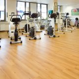 Wood Pattern Leisure Venues Flooring for Gyms, Weight Rooms